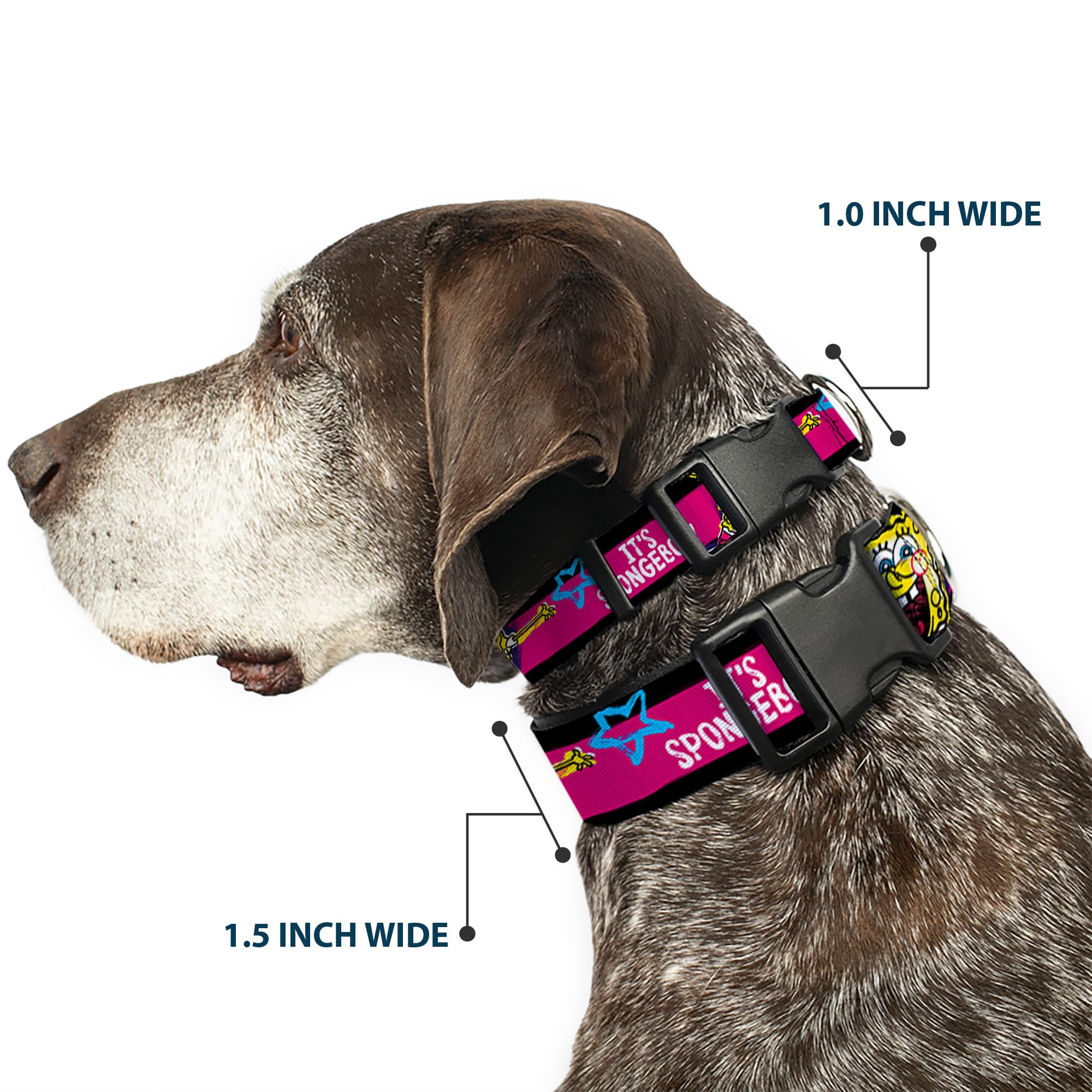 Spongebob Dog Collar with Plastic Clip - Black, Pink, Blue, White Stripes (16-23 Inches, 1.5 Inch Wide) - Perfect for Cartoon Lovers & Small to Medium Dogs