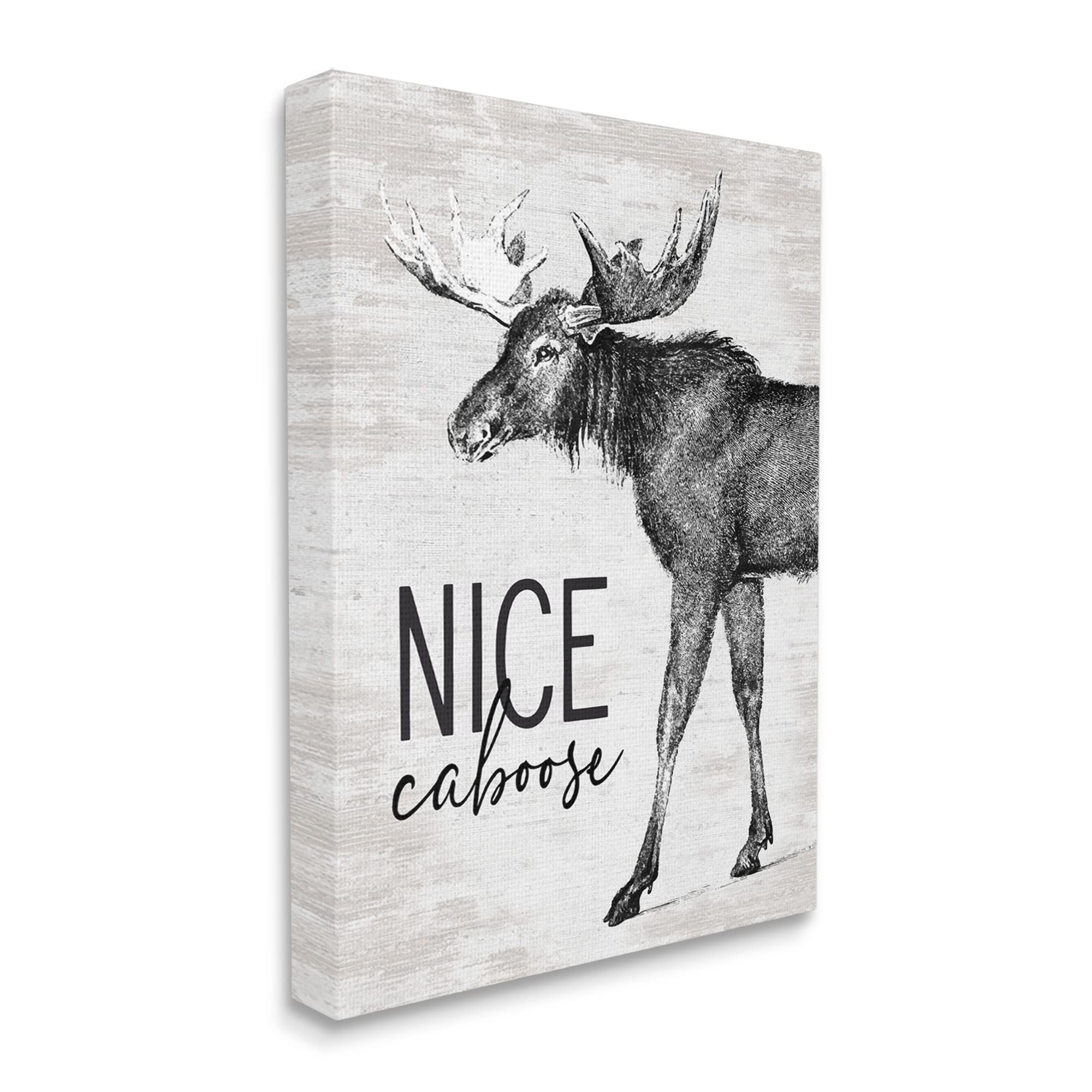 Stupell Industries Funny Moose Canvas Art - 'Nice Caboose' Lake House Bathroom Humor Decor - 16x20 Inch Gallery Wrapped Wall Art - Perfect for Cabin, Bathroom, or Lodge Decor