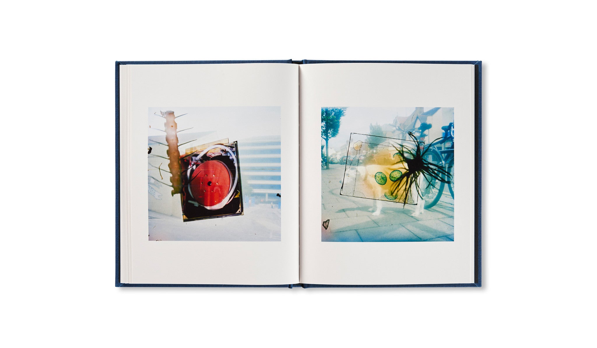 OUTSIDE IN by Stephen Gill - Photography Book for Art Lovers, Perfect for Home Decor & Gift Ideas