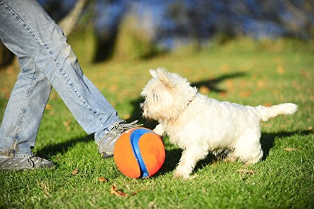 Durable Small Kick Fetch Dog Toys (3-Pack) - Interactive Play for Puppies & Small Dogs - Perfect for Indoor & Outdoor Fetch Games
