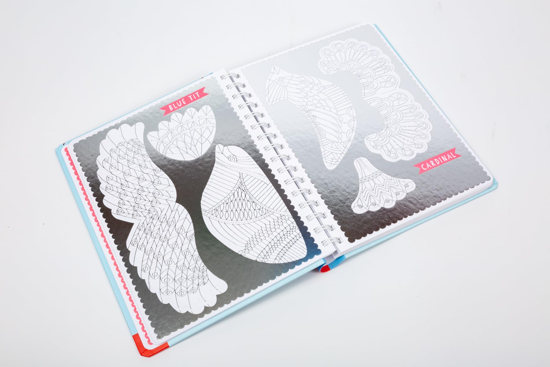 Press Out & Color Birds - DIY Bird Coloring Kit for Kids | Creative Art Activity for Home & Classroom Use