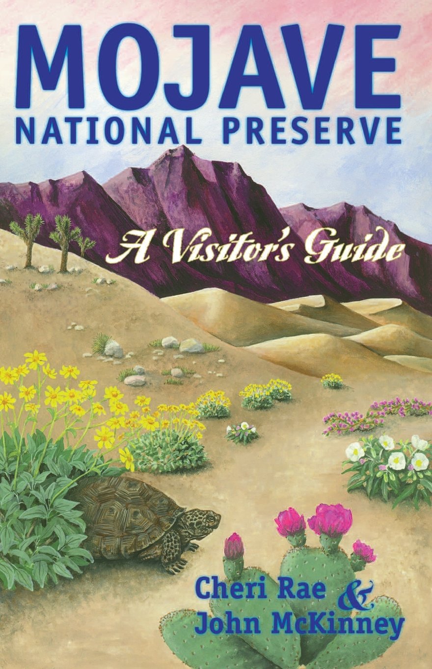 Mojave National Preserve Travel Guide: Explore Nature, Hiking & Local Attractions | Perfect for Outdoor Adventures & Road Trips
