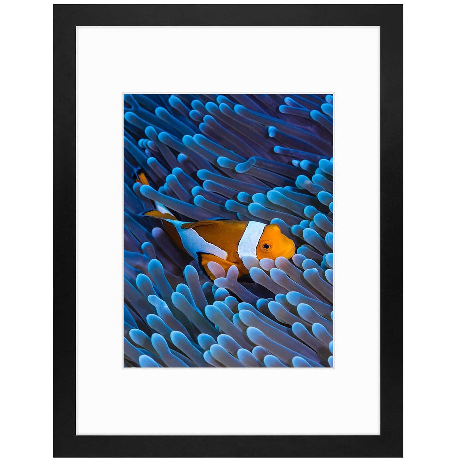 Frametory 12x16 Black Picture Frame - Displays 8.5x11 with Mat or 12x16 without Mat - Premium Poster, Print, Diamond Painting Wall Frame with Wide Molding - Perfect for Home Decor, Office, Gallery & Gift Giving