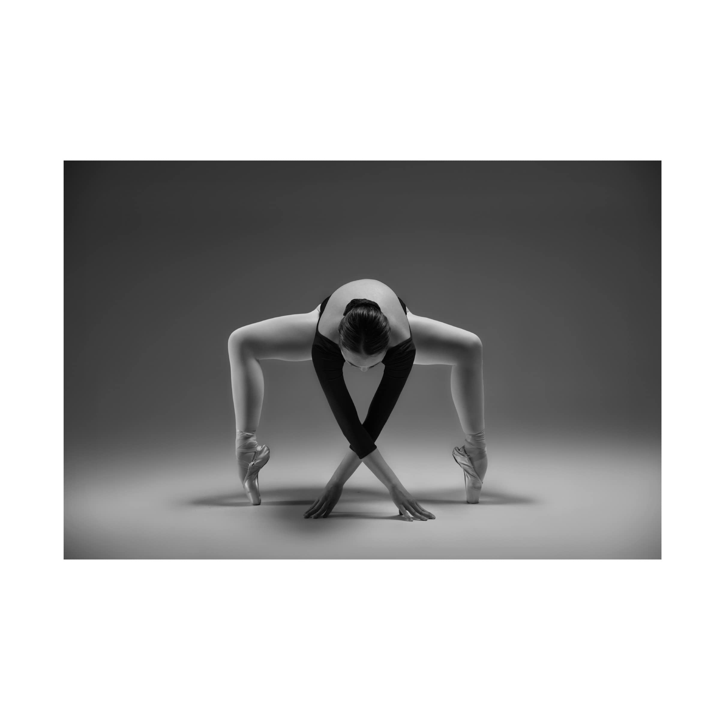 Trademark Fine Art 'Elegant' Canvas Wall Art by Rob Li - Modern Home Decor for Living Room, Bedroom & Office