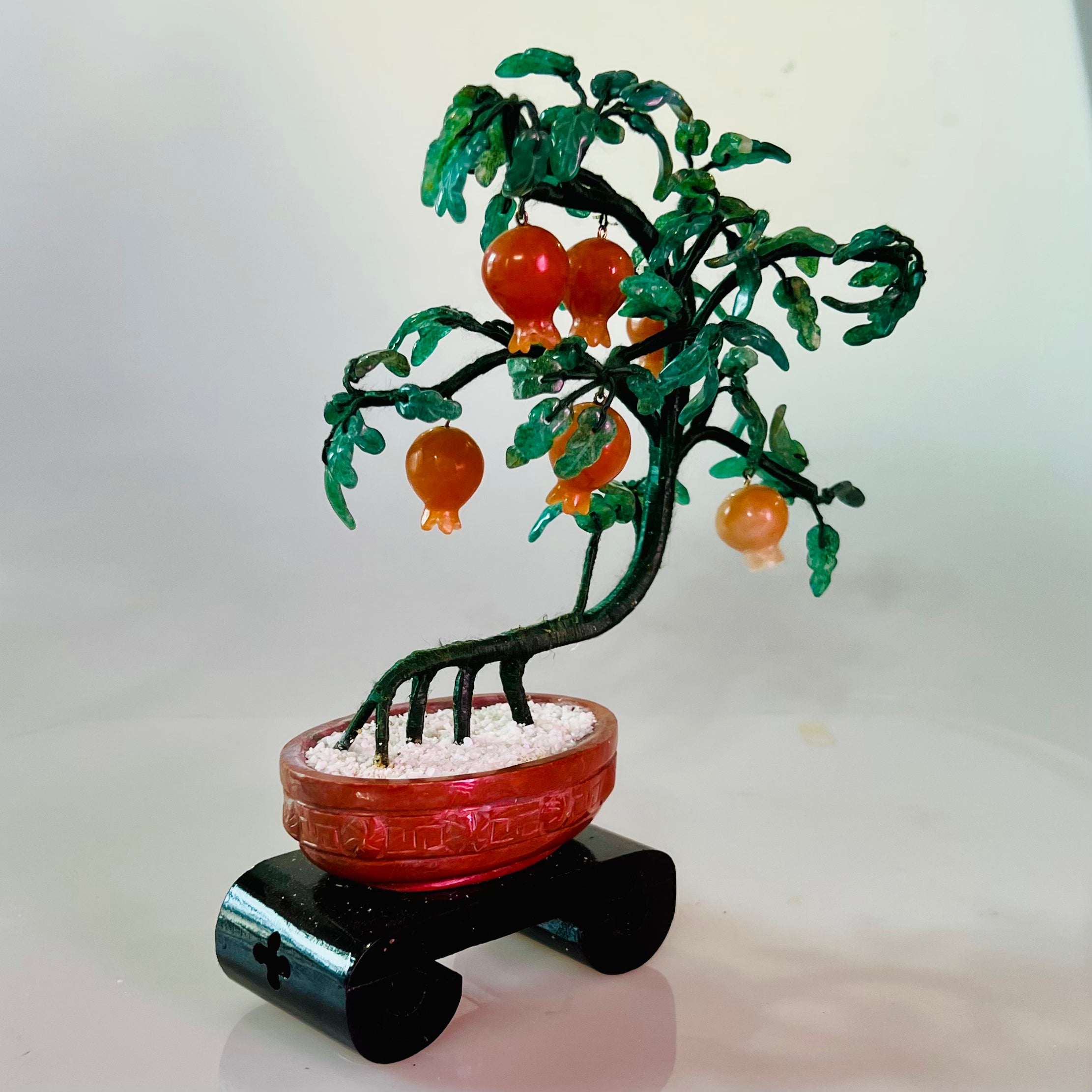 Pomegranate Tree for Sale - Live Fruit Tree for Home Garden & Landscaping | Grow Fresh Pomegranates in Your Backyard