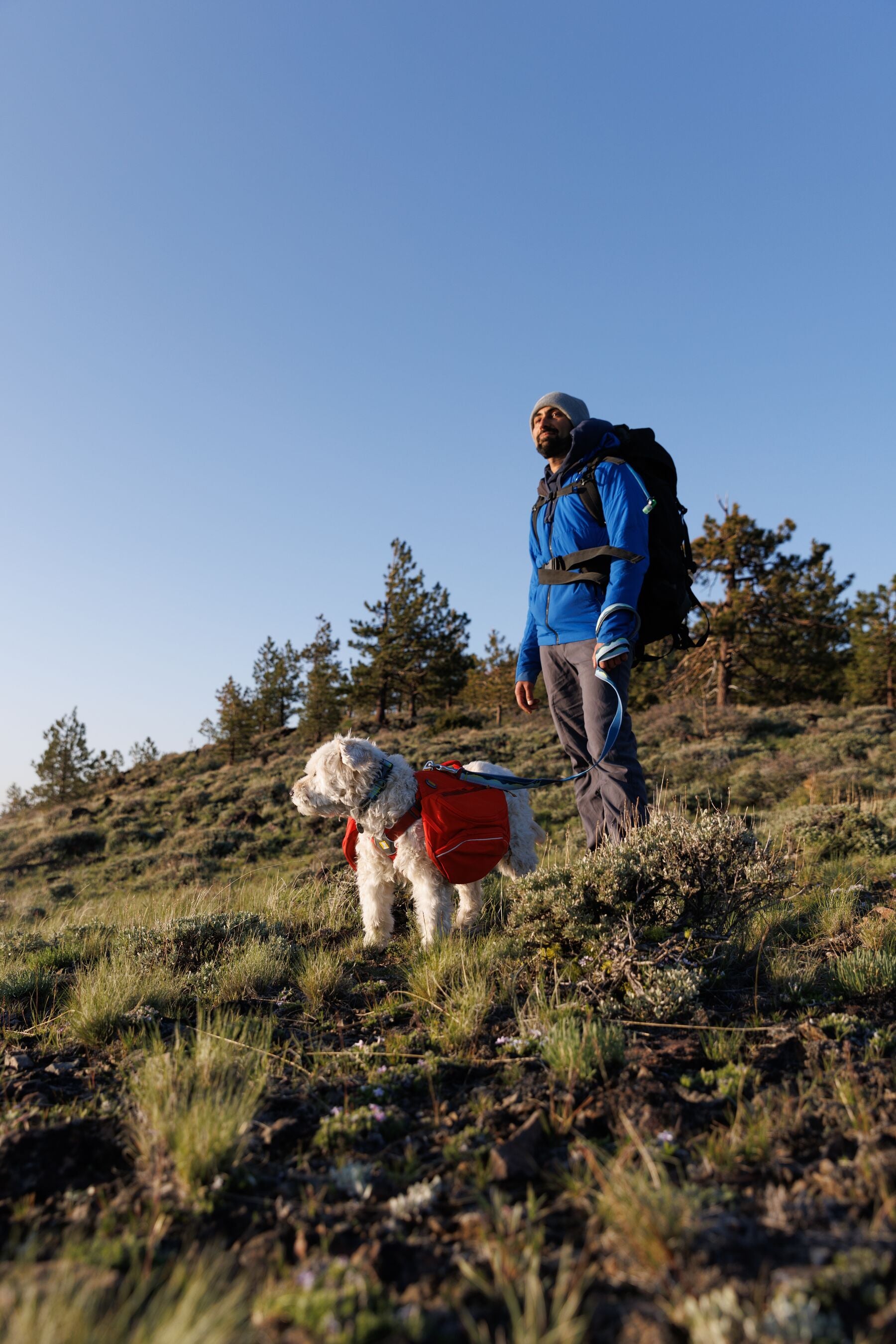 Ruffwear Crag Collar® Alpine Dawn Reflective Dog Collar - Durable & Adjustable for Hiking, Camping & Outdoor Adventures