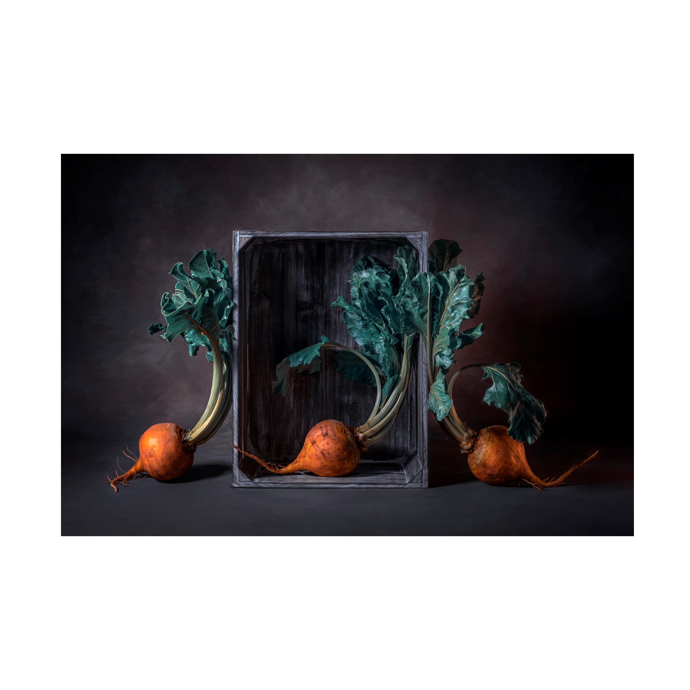 Lydia Jacobs 'Three Beets' Canvas Art Print - Modern Botanical Wall Decor for Living Room, Bedroom & Office - Trademark Fine Art Collection