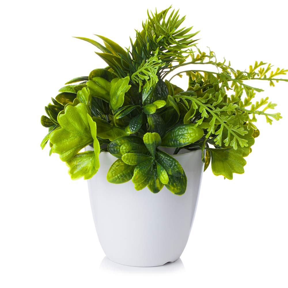 Enova Home 8 Inch Artificial Plants in White Pot - Faux Greenery for Home & Office Decor - Perfect for Living Room, Bedroom, Desk & Shelf Decorations (6204)