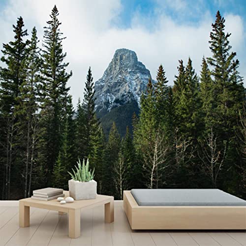 3D Mountains Outdoors PVC Self-Adhesive Wallpaper - Peel and Stick Wall Mural for Bedroom & Living Room Decor - 110