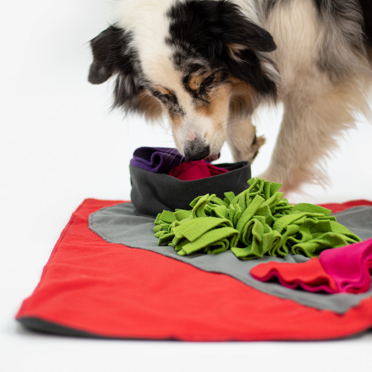 Interactive Dog Sniff & Search Puzzle Game - Heart-Shaped Scent Pad for Nosework Training | Fun Mental Stimulation for Dogs at Home or Outdoor Play