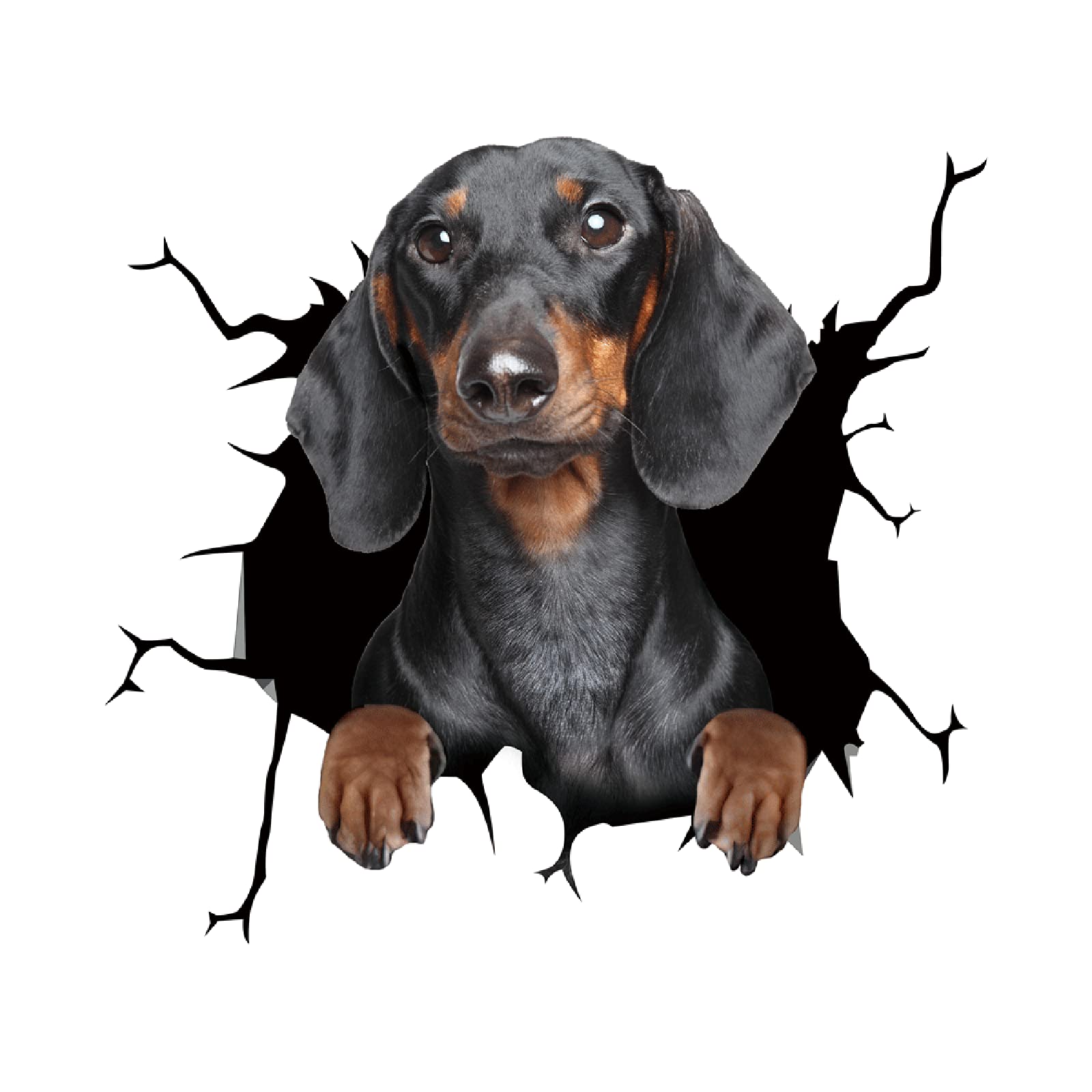 Funny Bull & Puppy Car Window Stickers - Pet Lover Decals for Glass & Auto