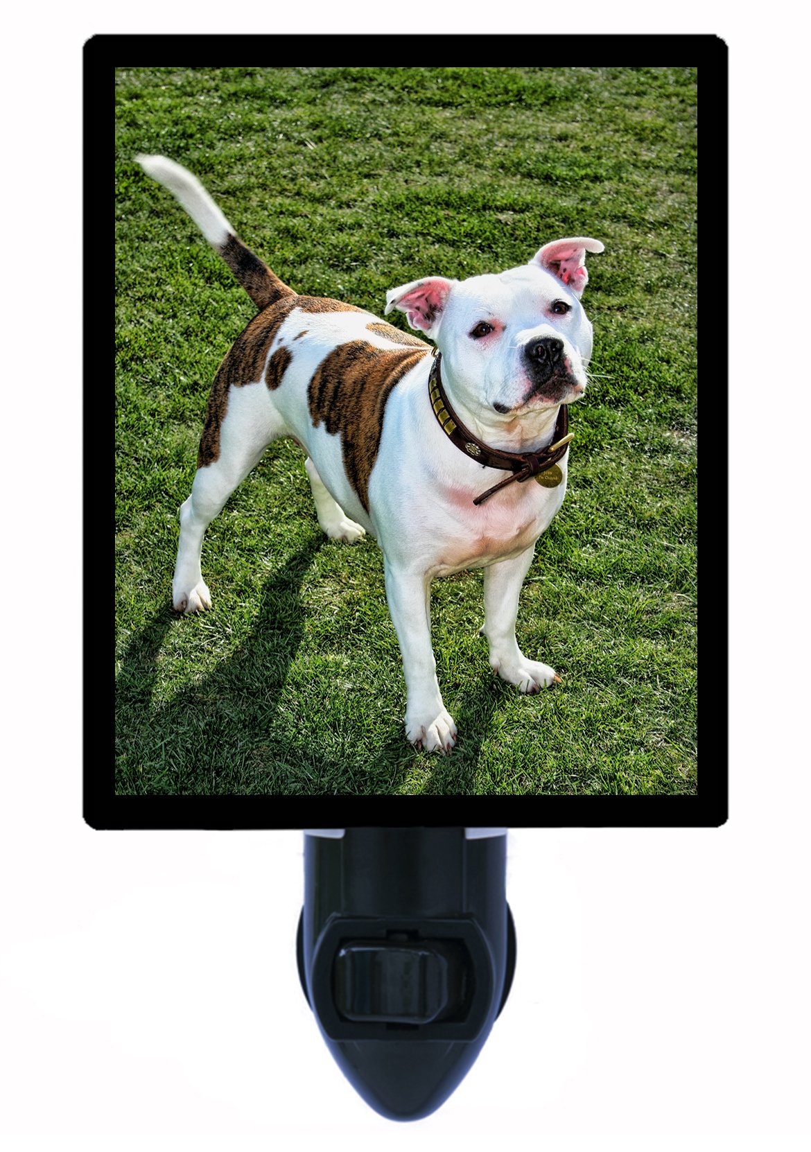 Staffordshire Bull Terrier LED Dog Night Light - Soft Glow for Bedroom, Nursery & Pet Safety - Perfect for Nighttime Comfort & Anxiety Relief
