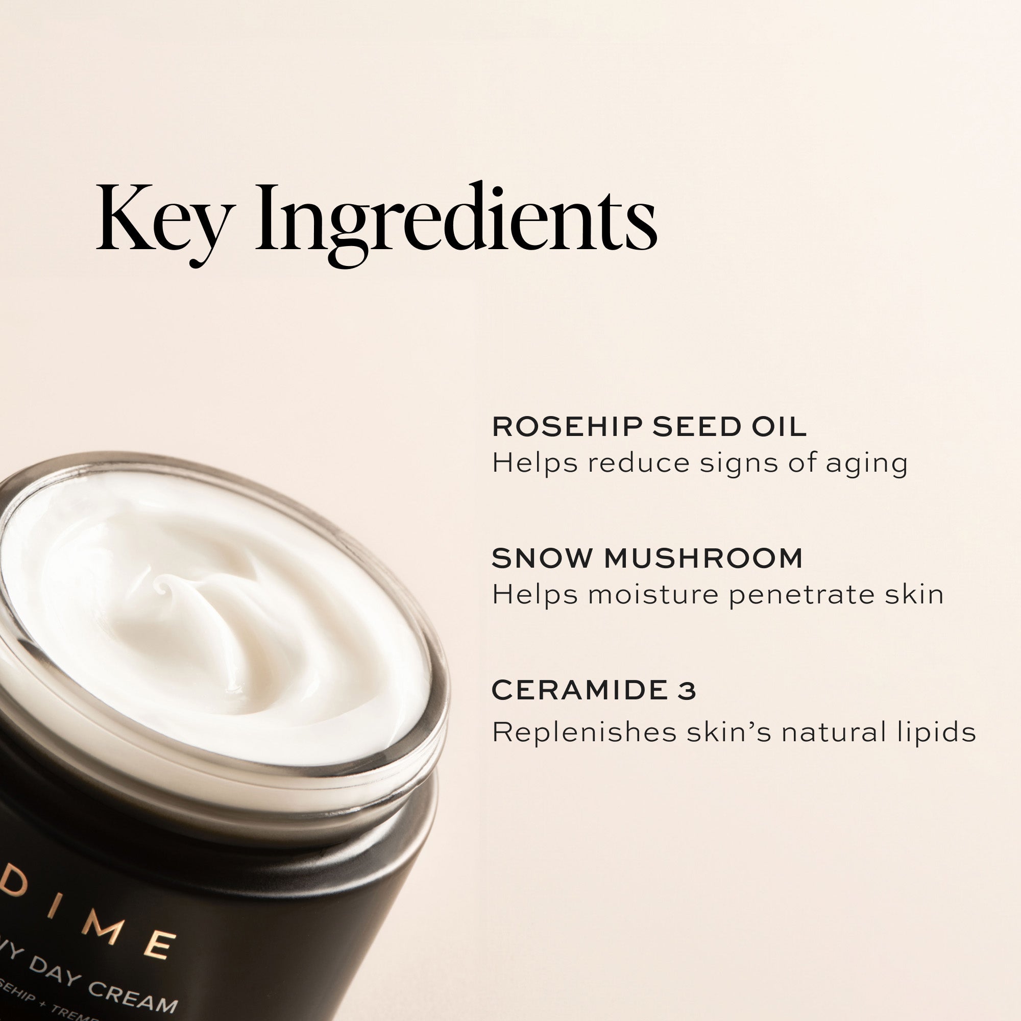Dewy Day Cream Moisturizer - Hydrating Face Moisturizer for Dry Skin | Day & Night Cream for Glowing Skin | Perfect for Daily Skincare Routine & Makeup Prep
