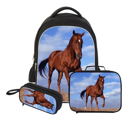 Horse14