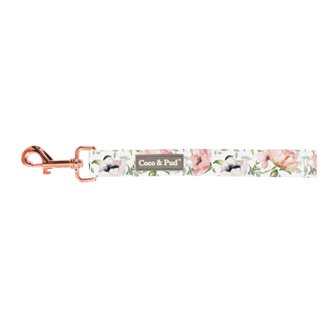 Premium Cat Leash for Small to Medium Cats - Soft & Adjustable Pet Walking Lead with Reflective Stripes for Safety - Perfect for Outdoor Adventures, Daily Walks & Training Sessions