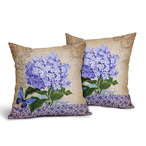 Purplehydrangea