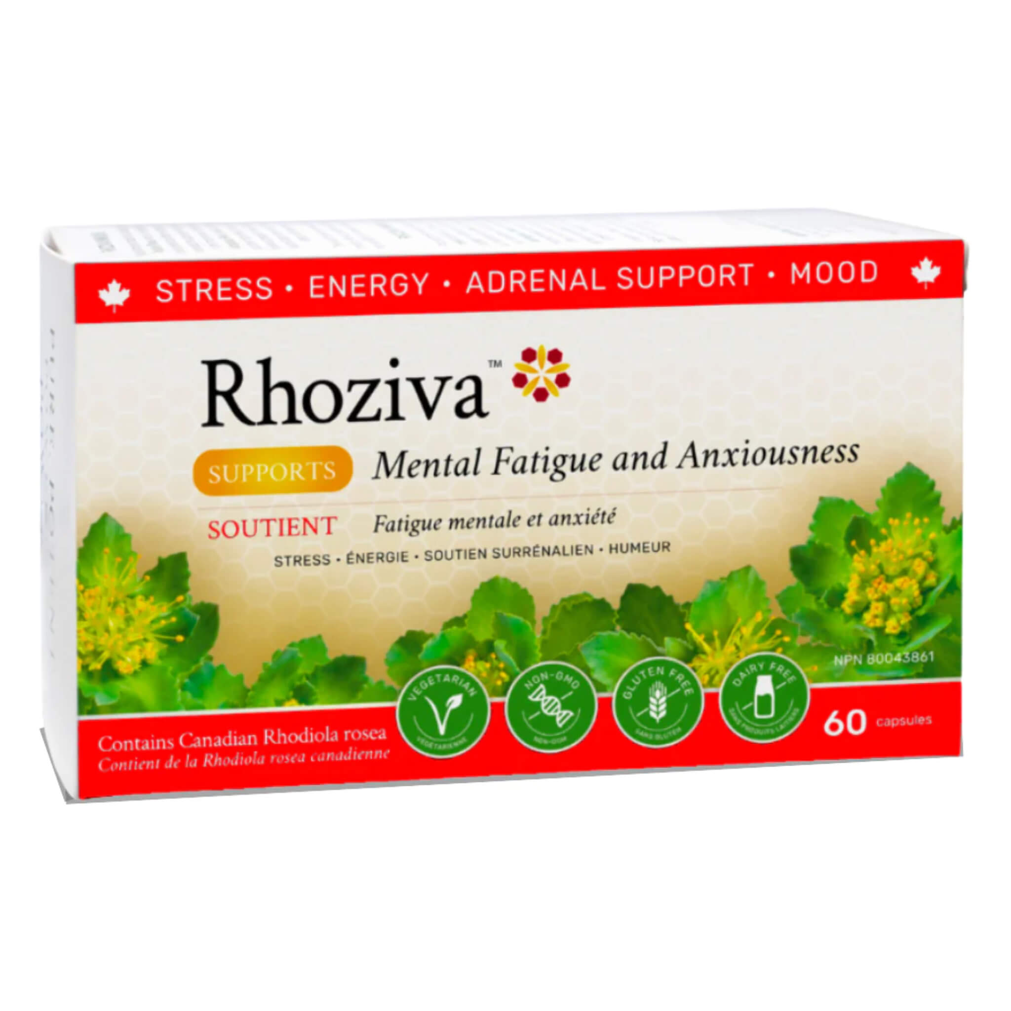 Rhoziva Rhodiola Rosea Extract 100mg Capsules - Natural Stress Relief & Energy Booster Supplement for Focus, Mood & Performance | Vegan, Non-GMO | Perfect for Work, Study & Fitness