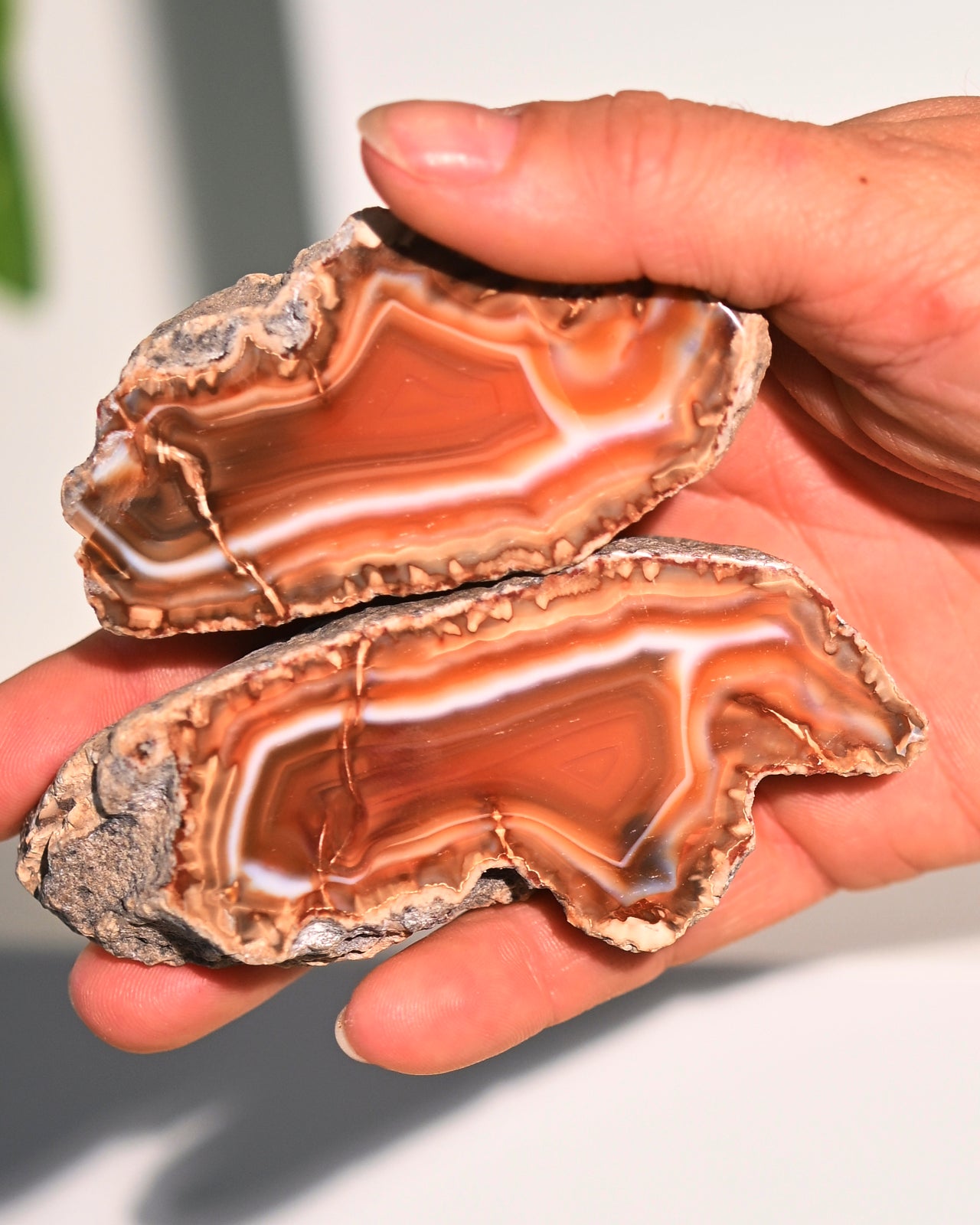 Natural Malawi Agate Geode Pair - Healing Crystals for Meditation, Home Decor & Spiritual Gifts | Perfect for Yoga Spaces, Office Desks & Crystal Collections