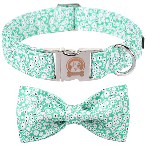B:Green Wildflower