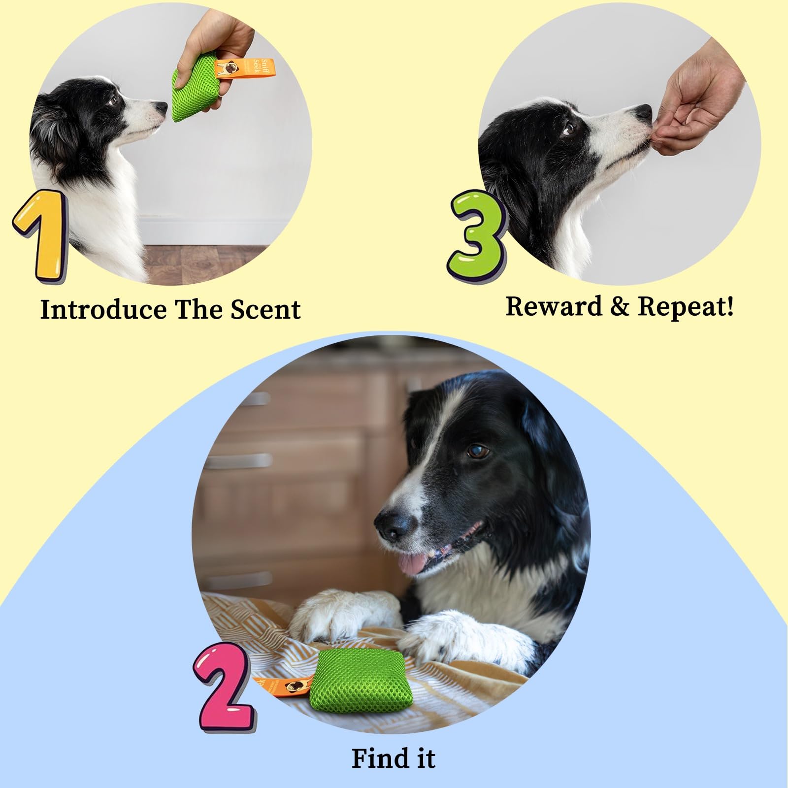 Dog Scent Training Kit - Hide & Seek Nose Work Toys for Dogs | Fun Brain Games & Sniffing Activities for All Ages | Perfect for Indoor Play, Outdoor Adventures & Canine Enrichment