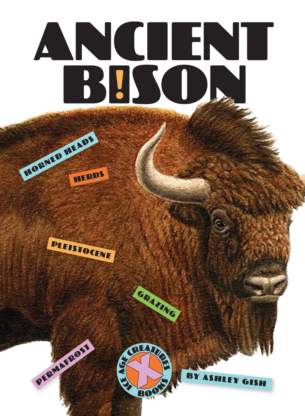 Ancient Bison Book - 9781640264328 - Explore Prehistoric Wildlife & Natural History for Education & Research