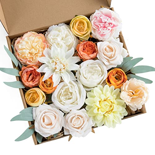 Orange White Peony