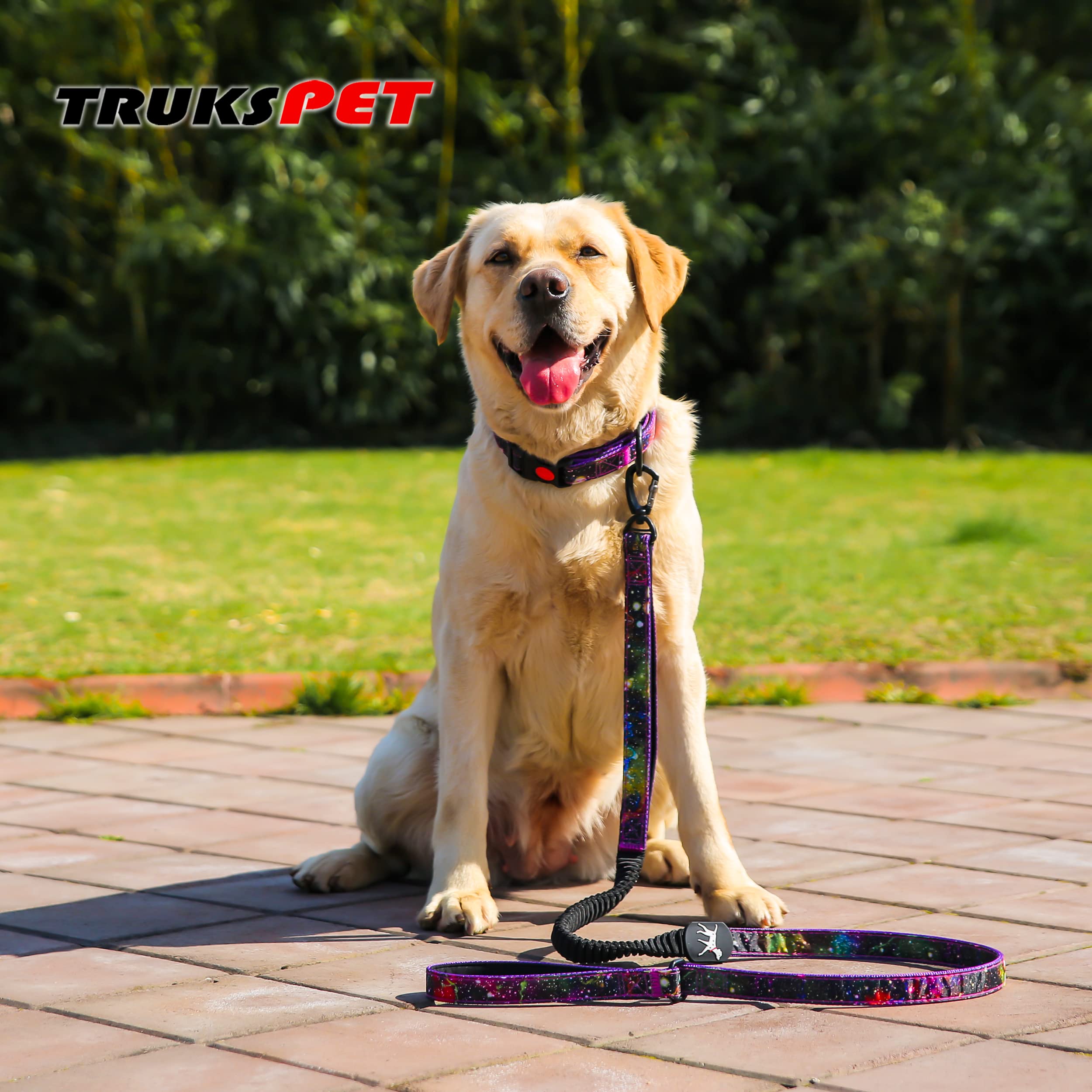 Heavy Duty Bungee Dog Collar and Leash Set - Adjustable 4-6Ft Training Leash with 2 Control Handles for Medium & Large Dogs - Soft Padded for Comfort - Perfect for Daily Walks, Jogging & Outdoor Adventures (Size: L-Galaxy)