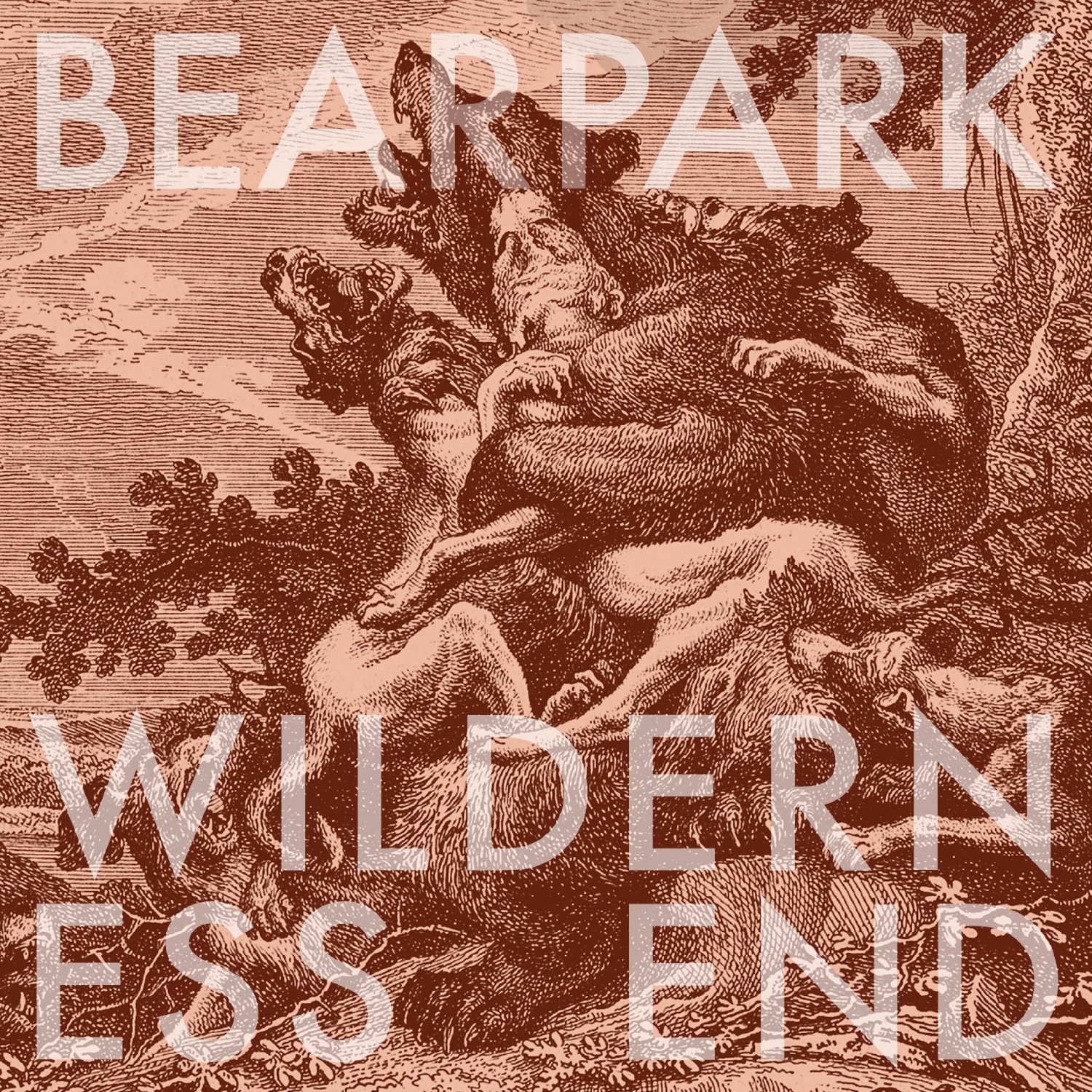 Wilderness End - Premium Outdoor Gear for Hiking, Camping & Survival | Durable & Lightweight Equipment for Adventure Enthusiasts