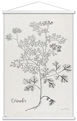 Premium Print and White Hanger Bundle
