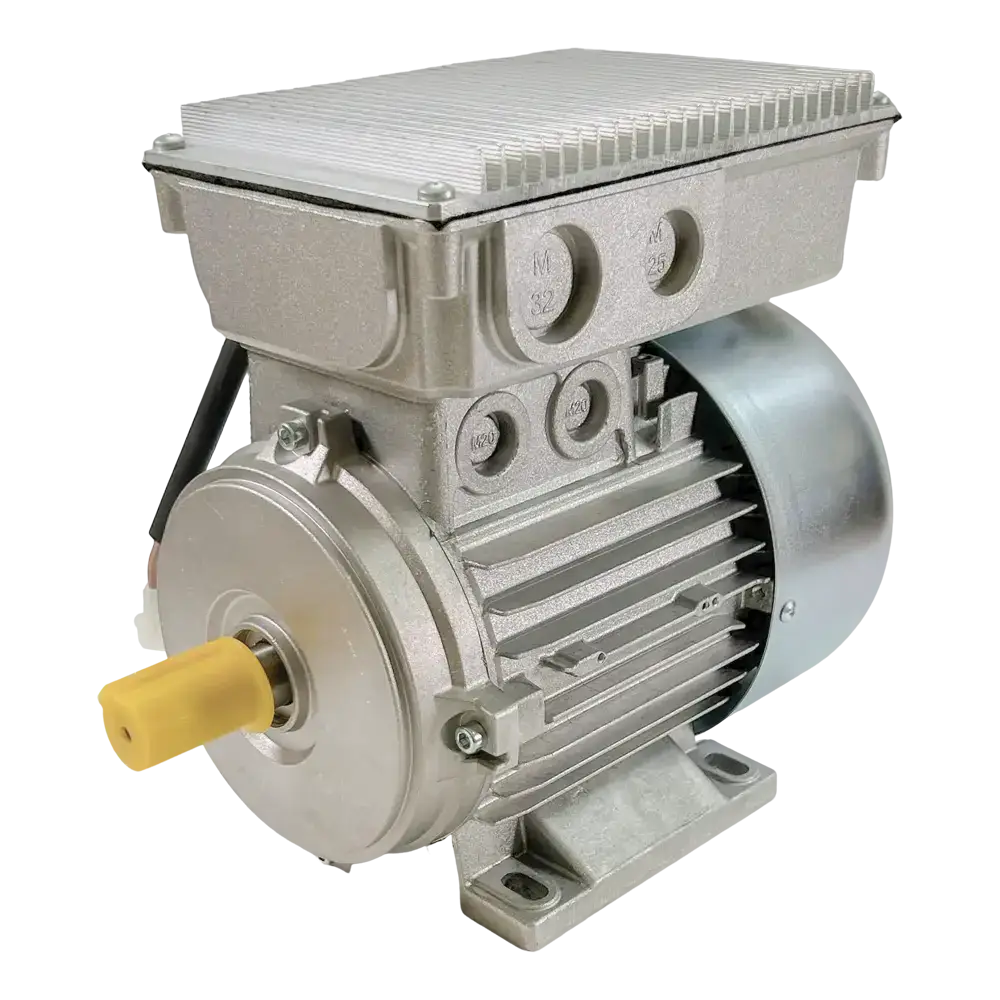Coats OEM Electric Motor for Tire Changer - 115V 2-Speed Replacement Part (85609751) - Perfect for Auto Repair Shops & Tire Service Centers