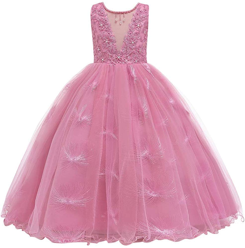 Girls Illusion V-Neck Embroidered Tulle Pageant Dress - Wedding Prom Princess Birthday Party Evening Dance Ball Gown for Pageants Quinceanera First Communion - Flower Girl Baptism Christening Special Occasion Dress