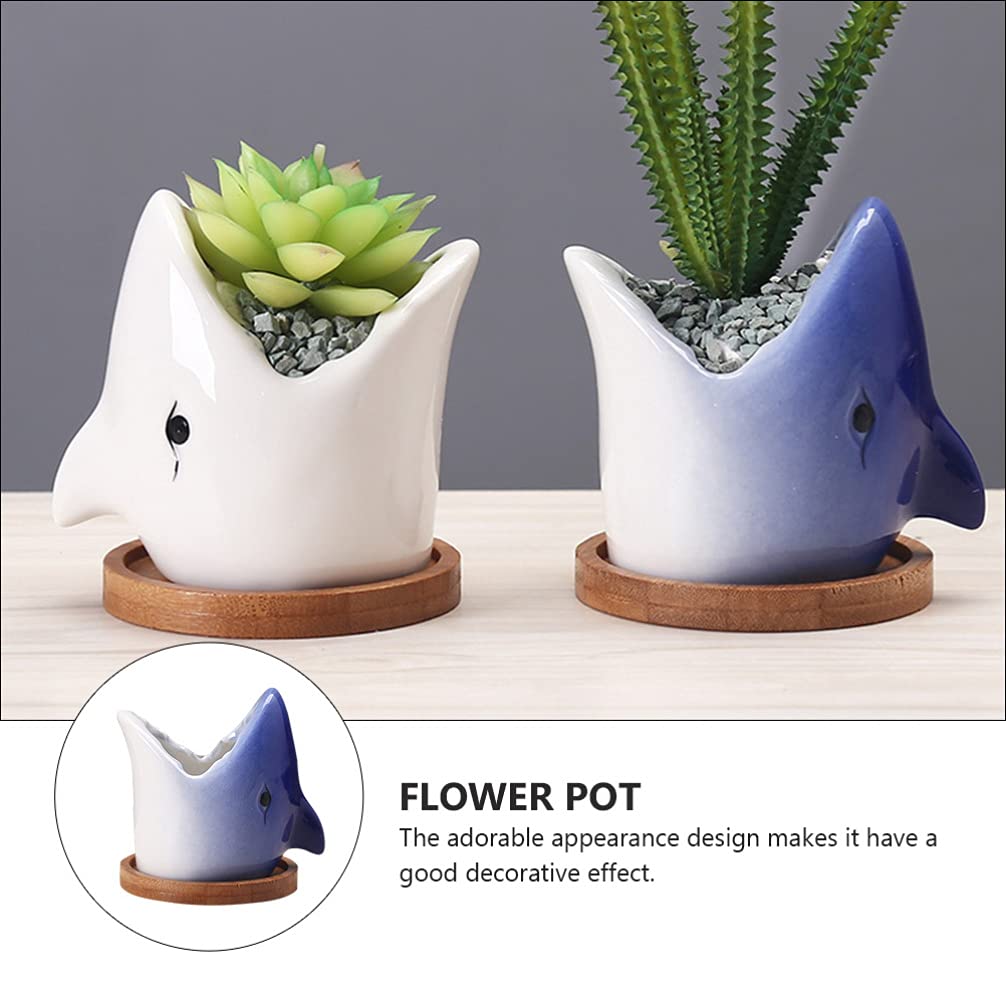 Stylish Hemoton Big Mouth Shark Planter - Ceramic Succulent & Bonsai Pot for Indoor Plants, Novelty Nautical Decor - Perfect for Home, Office, or Gift Giving