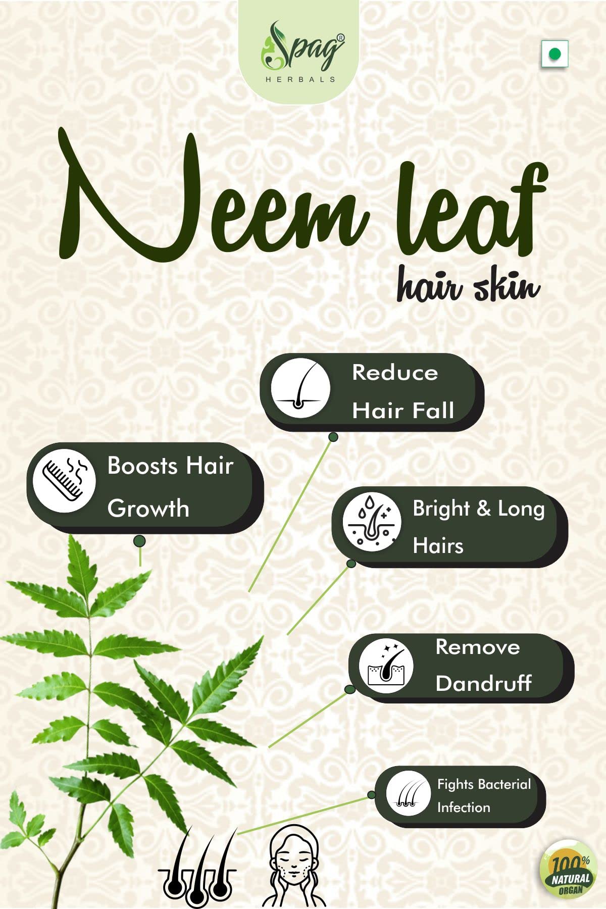 Spag Herbals Neem Leaves Powder 120g - Natural Pimple Treatment for Clear Skin & Silky Hair Cleanser | Acne Solution & Hair Care for Daily Beauty Routine