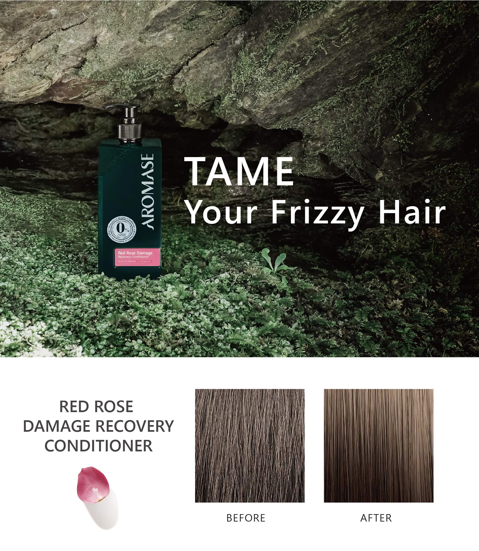 Aromase Red Rose Damage Recovery Conditioner with Damask Rose Oil & Jojoba Oil - Detangles Frizzy Hair, Deep Hydrates & Strengthens Hair with Linolenic Acid - Clean Rinse Formula for Dry, Damaged Hair - Perfect for Daily Use & Post-Coloring Treatment