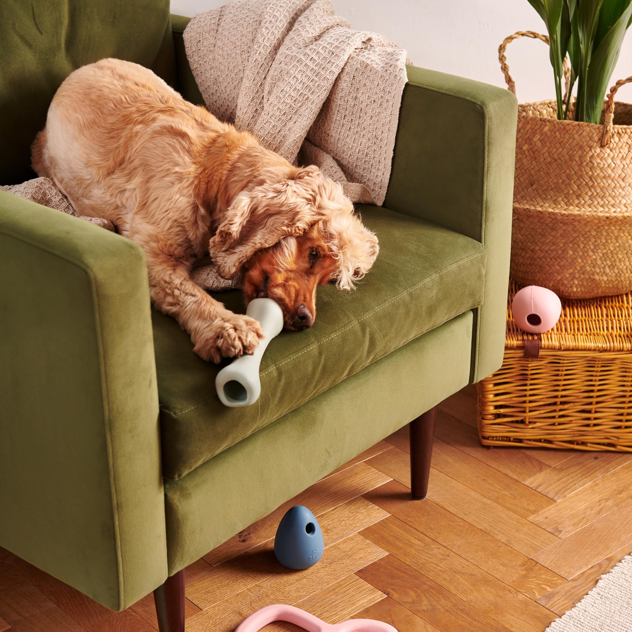 Beco Natural Rubber Dog Chew Bone Toy with Treat Hole - Durable Enrichment Chewing Toy for Small Medium Large Dogs - Perfect for Teething, Boredom Relief & Interactive Playtime