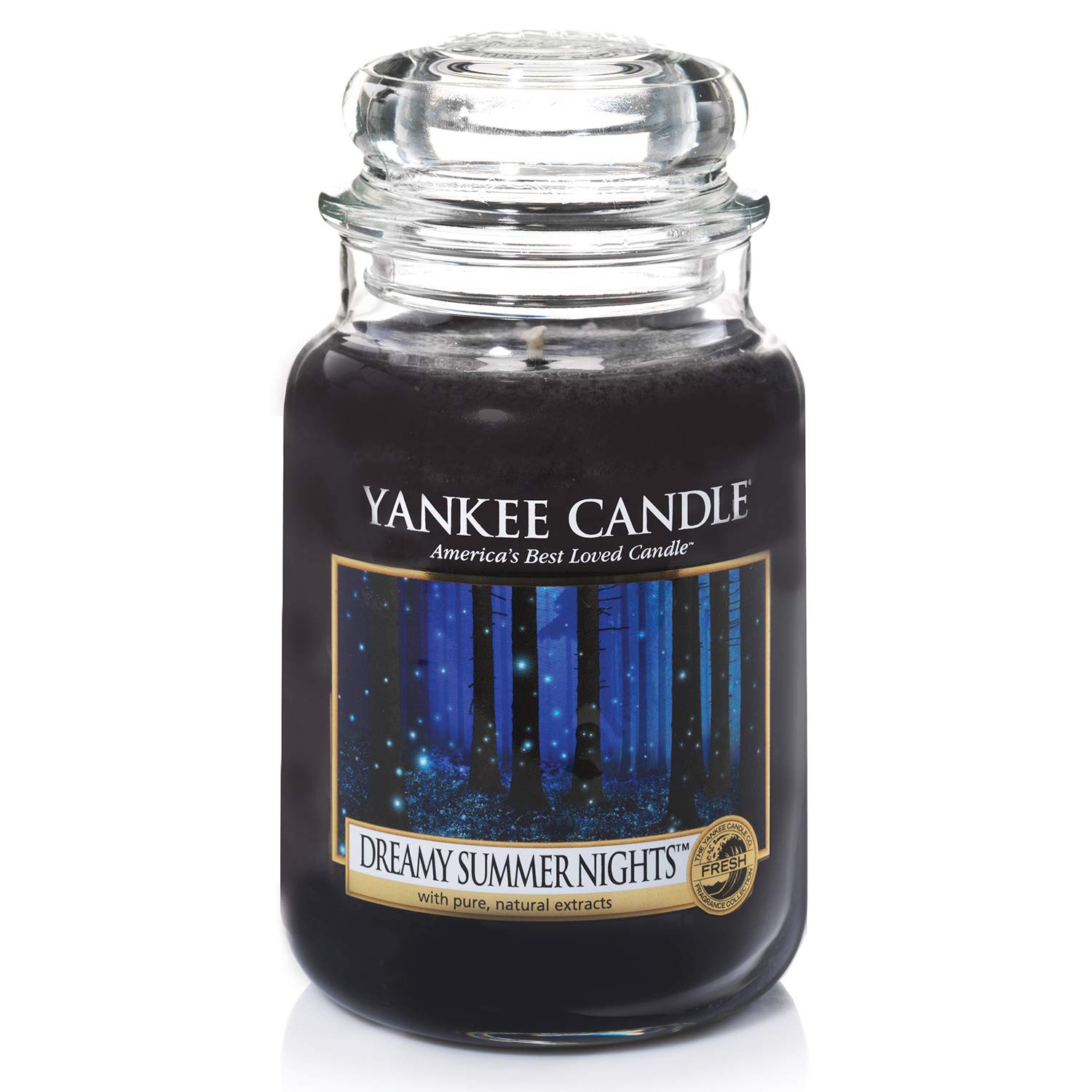 Yankee Candle Dreamy Summer Nights Scented Jar Candle - Blue Aromatherapy Candle for Relaxation, Home Decor & Gift Giving
