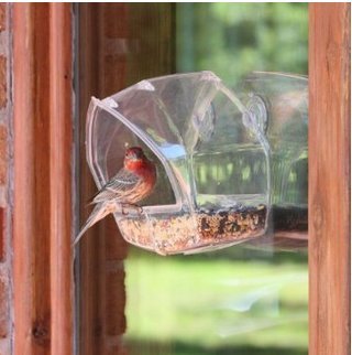 Birdscapes Clear Window Bird Feeder 348 - Transparent Suction Cup Birdhouse for Outdoor Patio Decor - Attracts Wild Birds - Perfect for Bird Watching at Home, Office, or Garden Windows (Pet Supplies)
