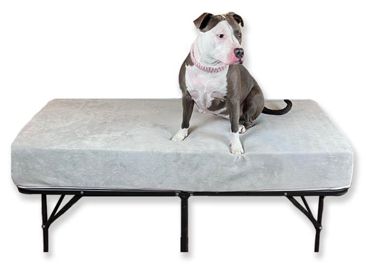 Elevated Foam Dog Bed Mattress Extender for Queen Beds - 6