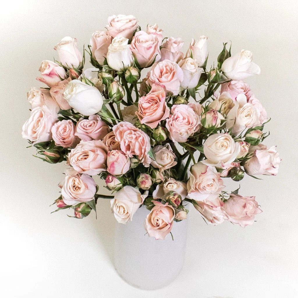 Bali Peach Spray Roses - Fresh Cut Flowers for Weddings, Home Decor & Gifts | Premium Long-Lasting Floral Arrangements