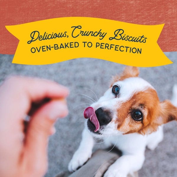 Natural Balance Crunchy Dog Biscuits with Real Salmon - Small Breed Recipe, 8oz - Healthy Treats for Training & Dental Care