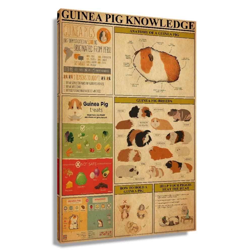 Guinea Pig Care Guide Poster - Educational Wall Art for Pet Lovers - Giclee Print Canvas Decor for Living Room, Bedroom, Office & Bathroom - Framed Animal Infographic (24x36 Inches, 60x90cm) - Perfect Gift for Guinea Pig Owners & Veterinary Students