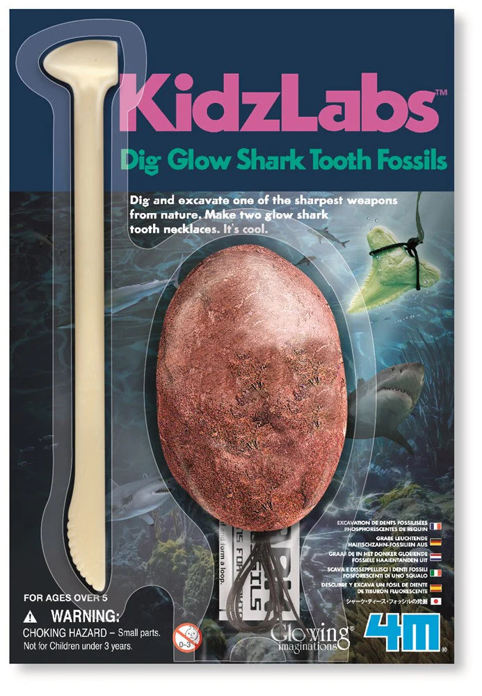 4M KidzLabs Shark Tooth Fossil Dig Kit - STEM Educational Science Toy for Kids Ages 8+ - Excavate & Discover Real Shark Teeth Fossils - Perfect for Birthday Gifts & Classroom Science Projects