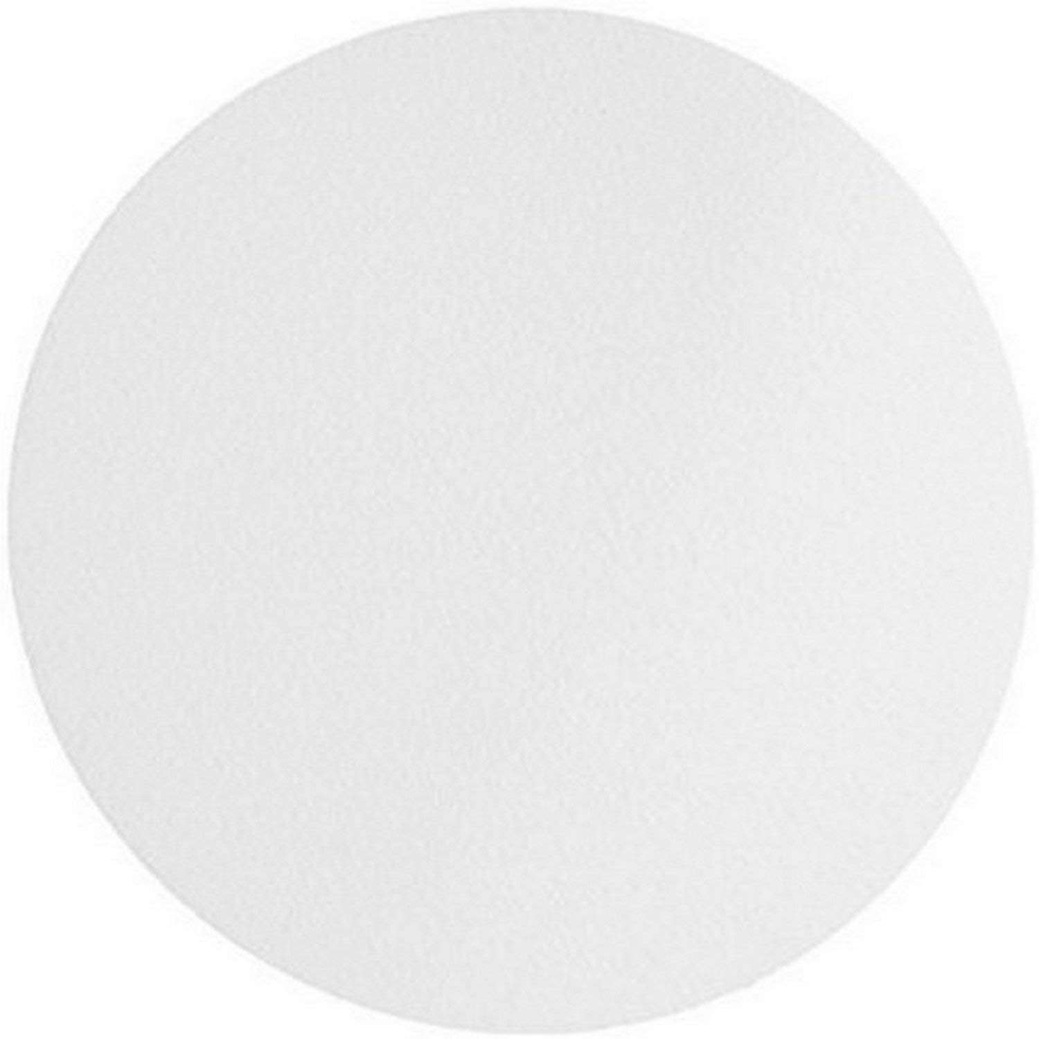Omicron™ 134090 Borosilicate Glass Fiber Filter - 0.7 Micron, 90mm (100/Pack) - GF/F 1825-090 Equivalent - Ideal for Laboratory Filtration and Air Sampling