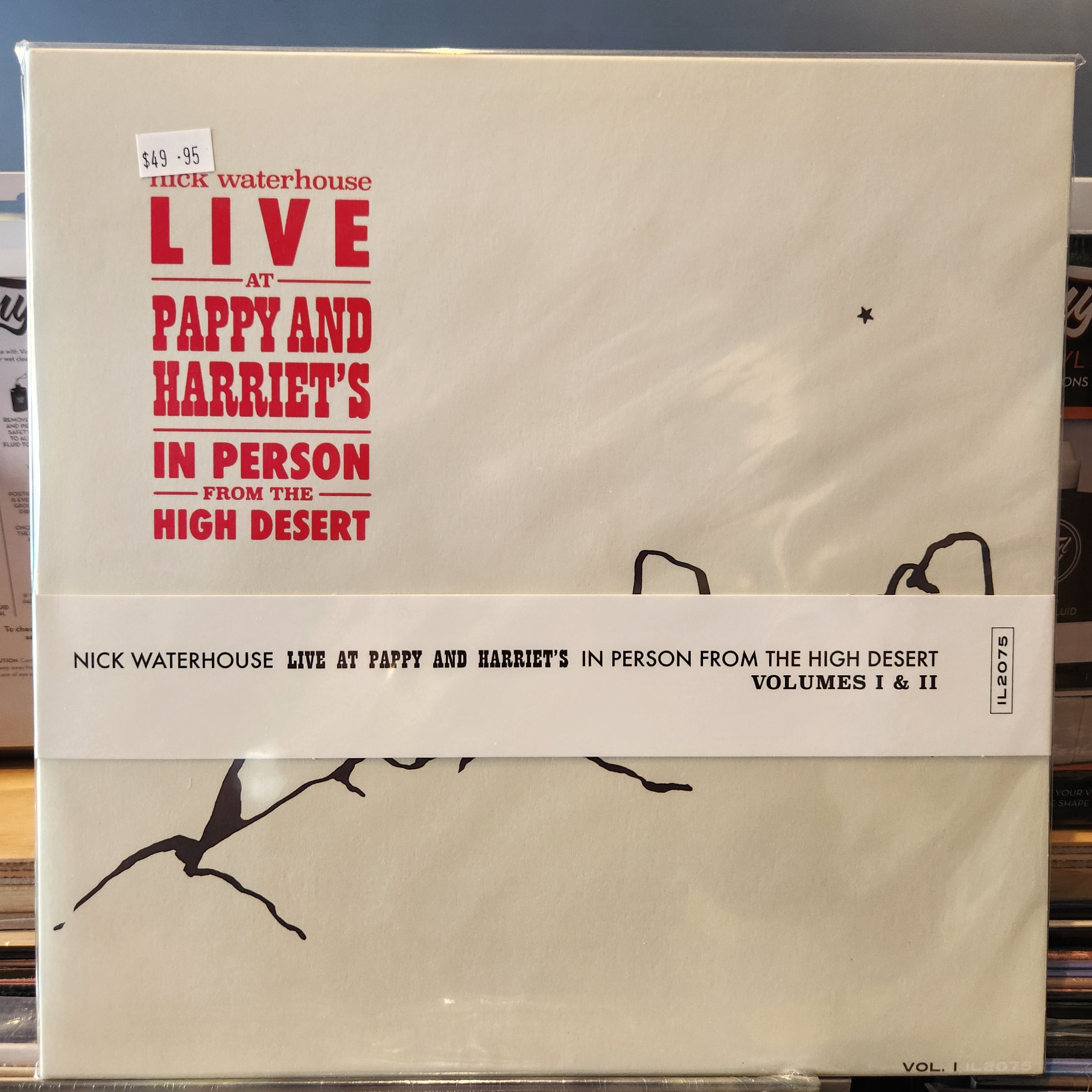 Nick Waterhouse - Live At Pappy & Harriet's: In Person From The High Desert - Limited Edition Double Vinyl LP Record - Perfect for Jazz & Blues Collectors & Vinyl Enthusiasts