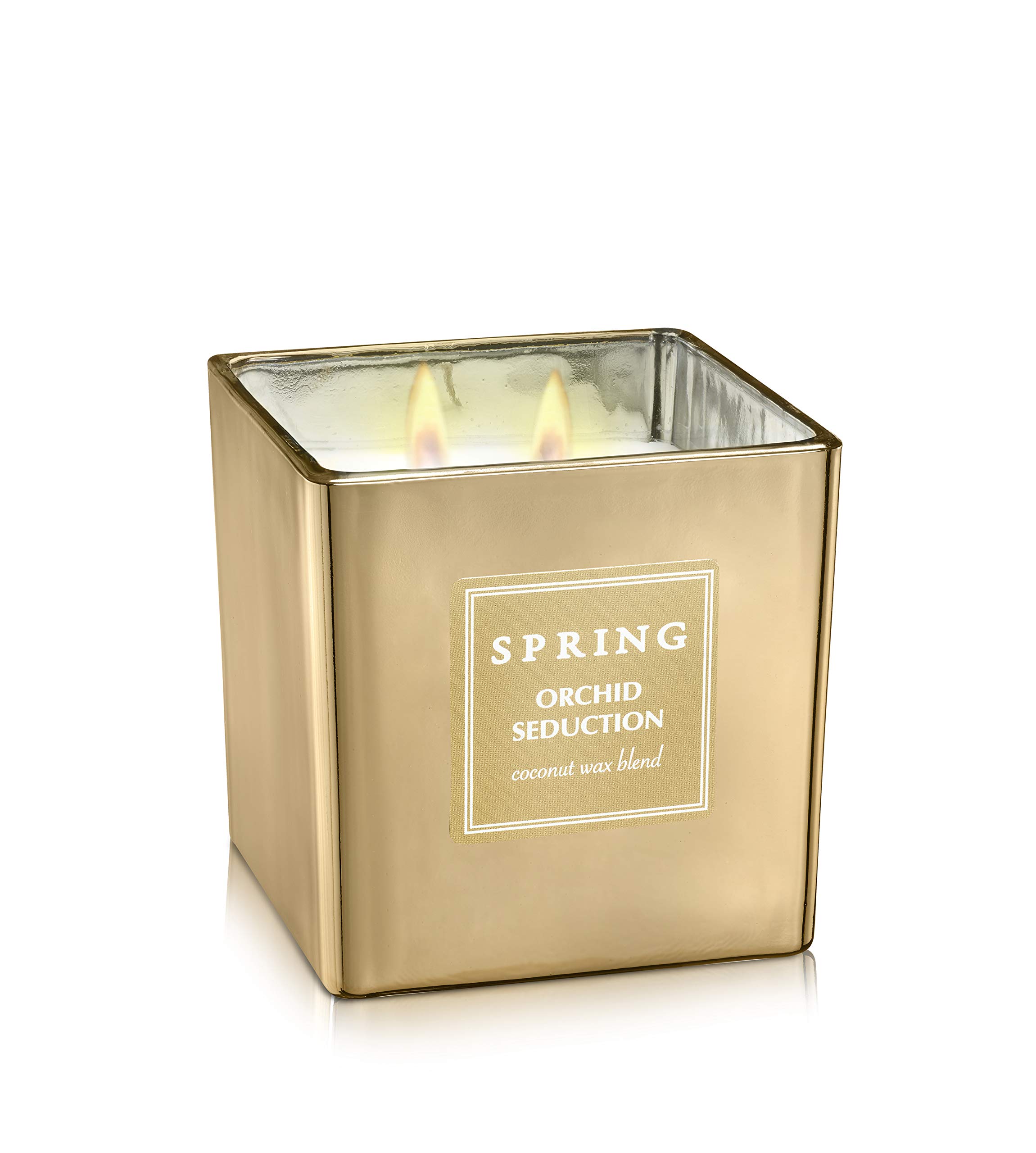 SPRING Orchid Seduction Scented Candle - Natural Coconut Wax Blend with French Fragrance | Hand-Poured Golden Jar (8.5 oz) | Luxury Aromatherapy for Spa, Bedroom & Romantic Nights | Home Decor & Relaxation Gift