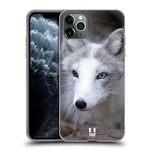 Coloured Eye Arctic Fox