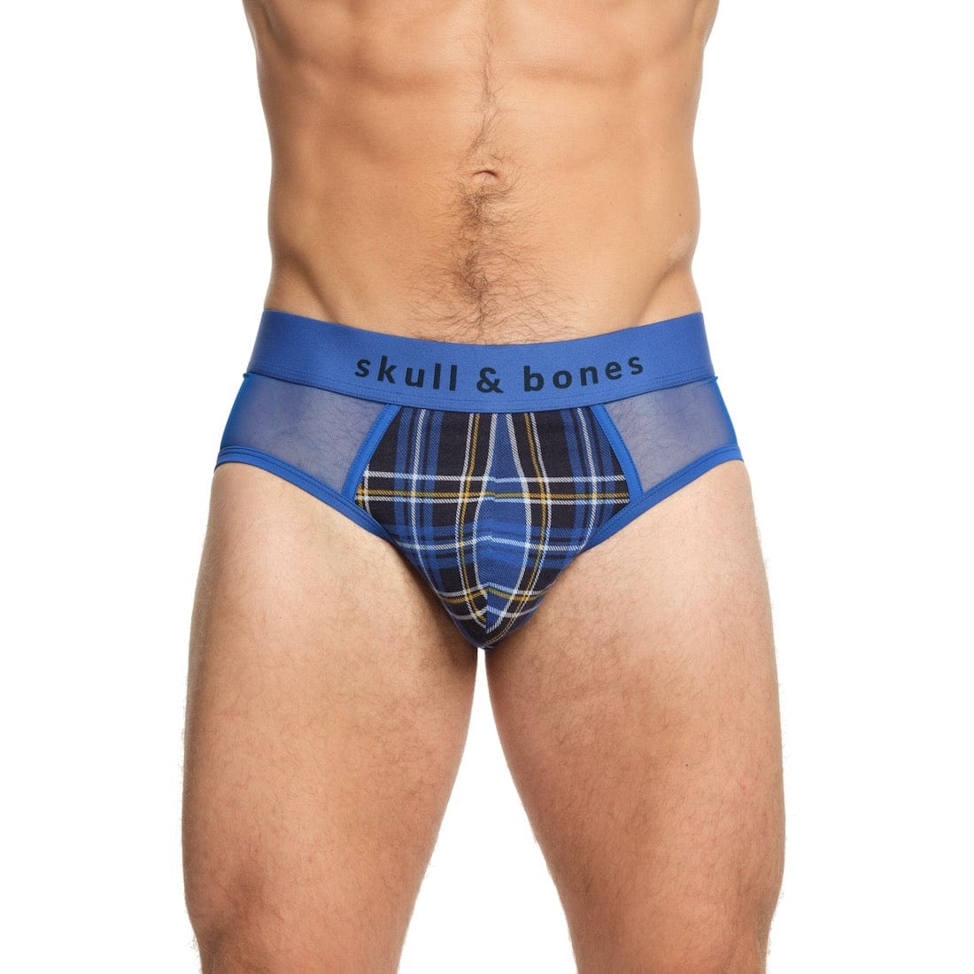 Blue Tartan Sheer Mesh Brief - Stylish Lingerie Underwear for Women | Perfect for Valentine's Day, Bridal Shower & Romantic Occasions