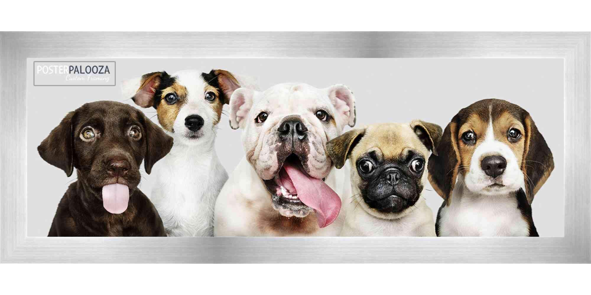 13.5x40 Silver Pewter Wood Panoramic Picture Frame with UV Acrylic & Foam Backing - Wall Art Display for Living Room, Office Decor, Wedding Photos