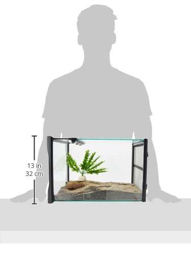 Exo Terra Rainforest Habitat Kit for Reptiles - Small Glass Terrarium with PT2602 for Geckos, Frogs & Snakes - Ideal for Tropical Pet Enclosures & Natural Habitat Simulation