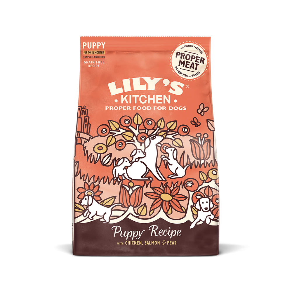 Premium Chicken & Salmon Puppy Dry Food - High Protein Grain-Free Puppy Kibble for Small & Large Breeds - Ideal for Training, Growth & Digestive Health - Best for Puppies 8 Weeks to 1 Year Old